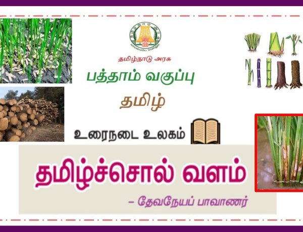 10th தமிழ் இயல் 1.2 தமிழ்ச்சொல்-வளம்